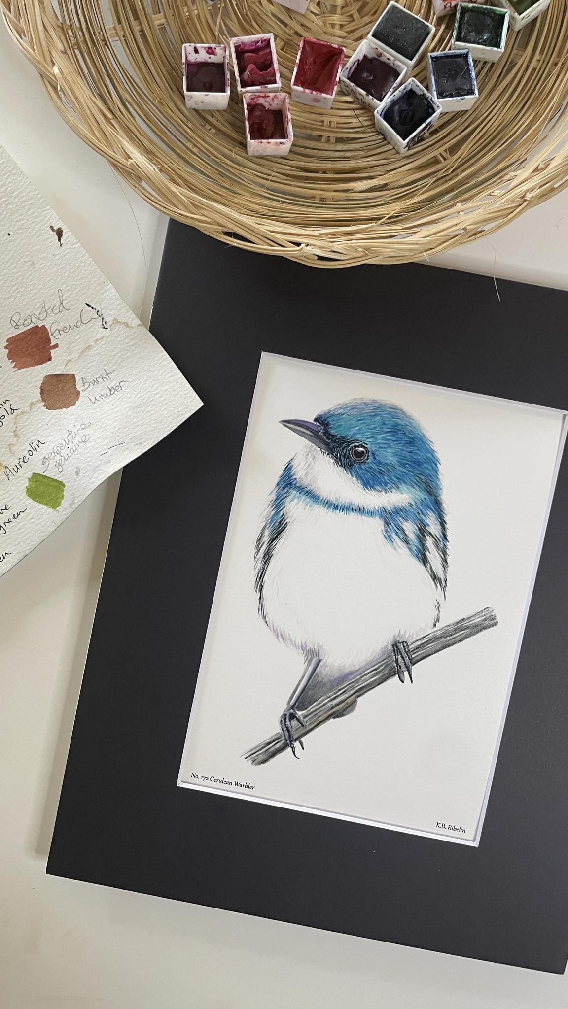 Cerulean Warbler - Bird Art by KB - Giclee Print with Black Mat