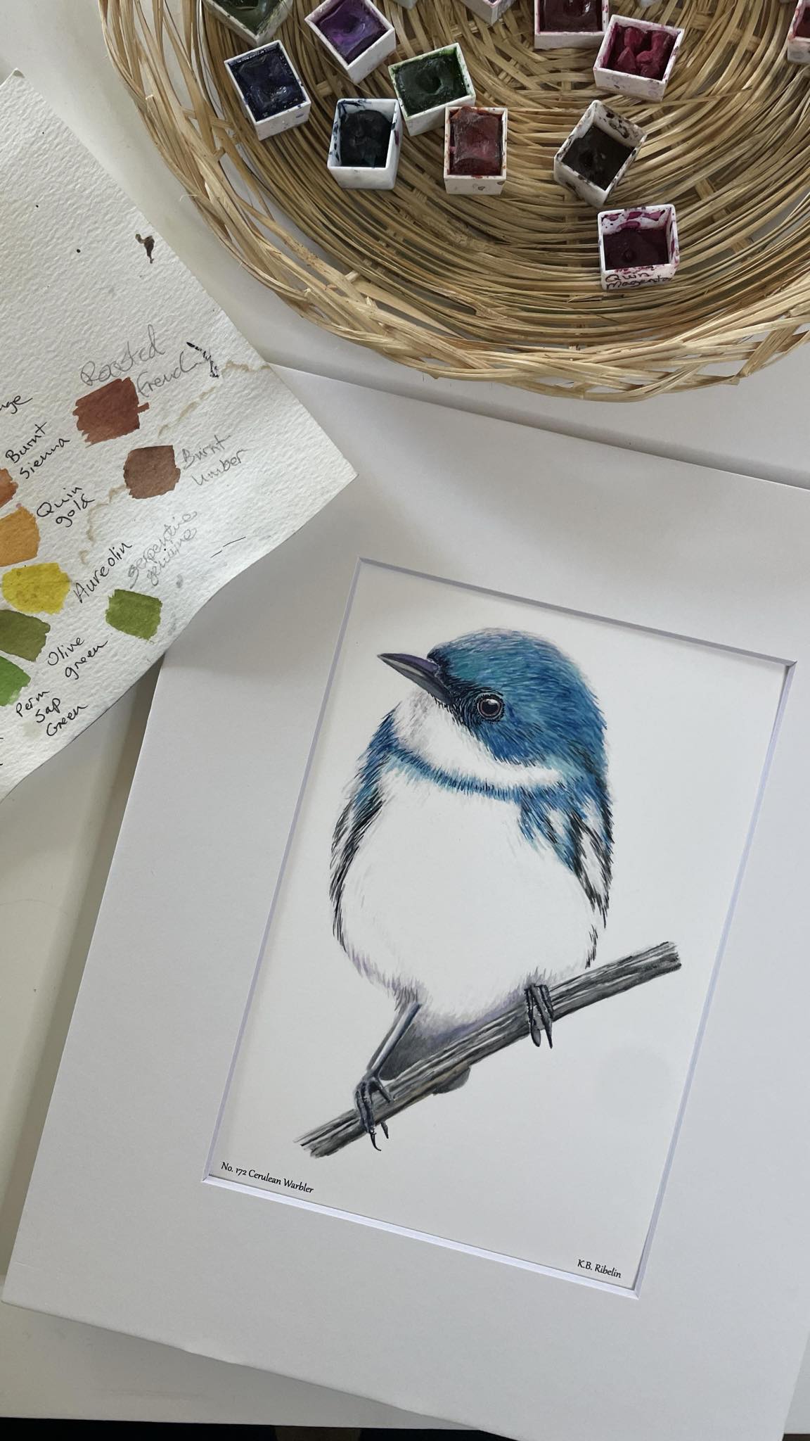 Cerulean Warbler - Bird Art by KB - Giclee Print with White Mat