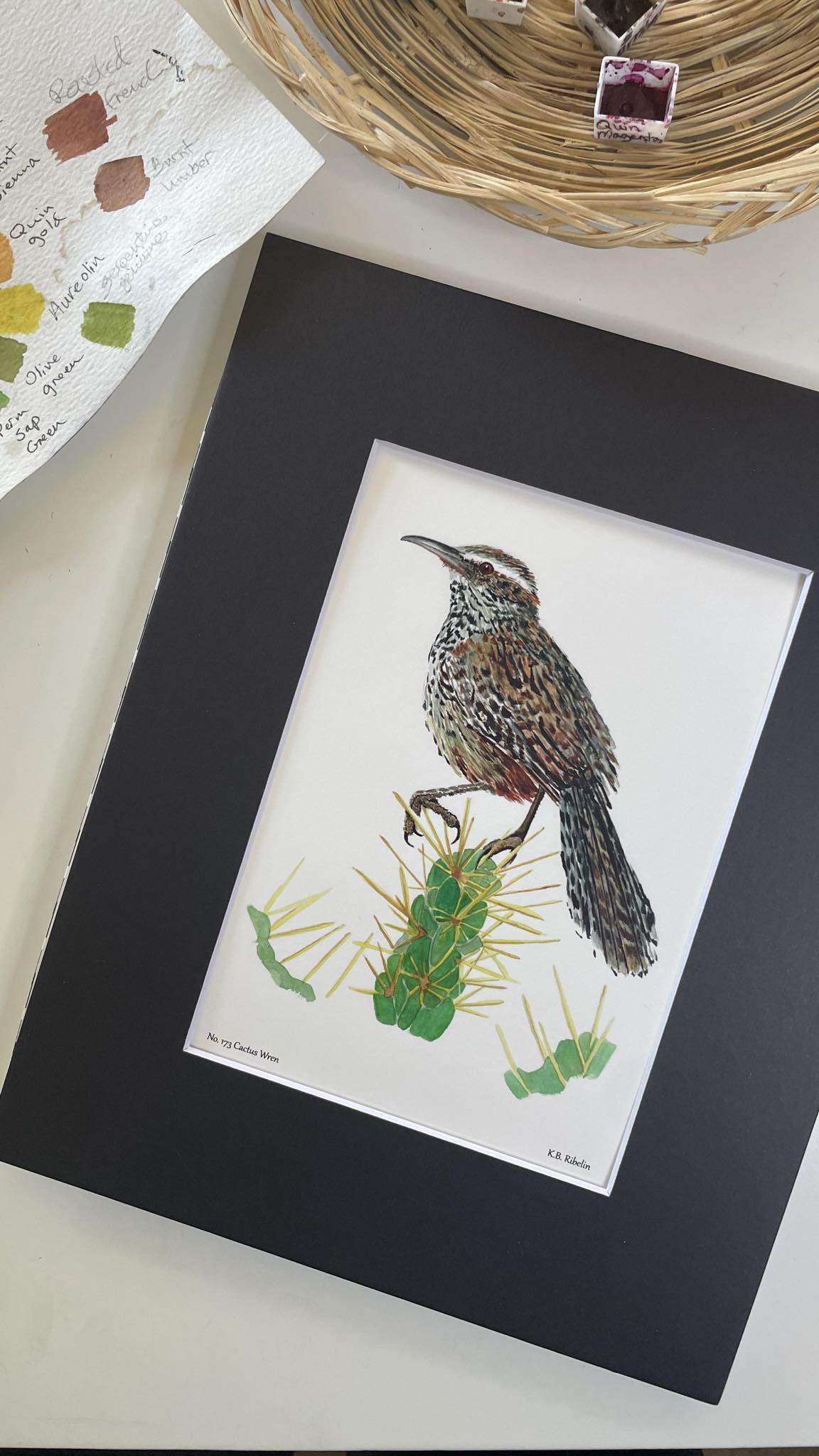 Cactus Wren - Bird Art by KB - Giclee Print with Black Mat