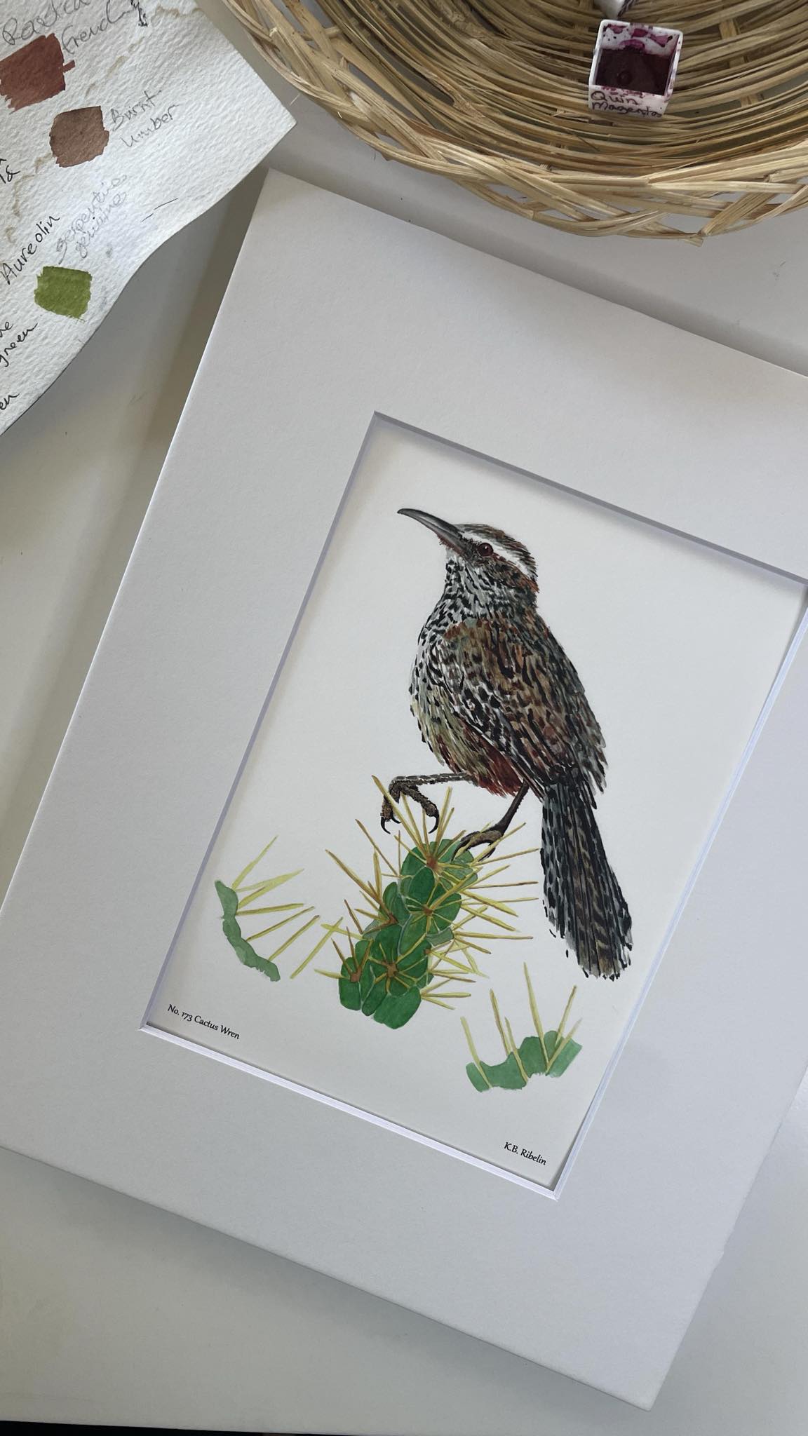 Cactus Wren - Bird Art by KB - Giclee Print with White Mat