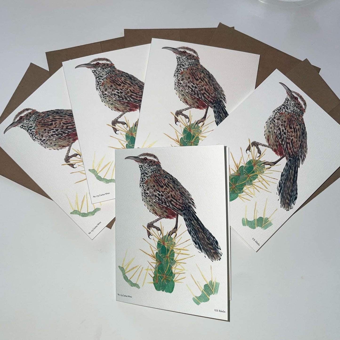 Cactus Wren - Bird Art by KB - Notecard Set