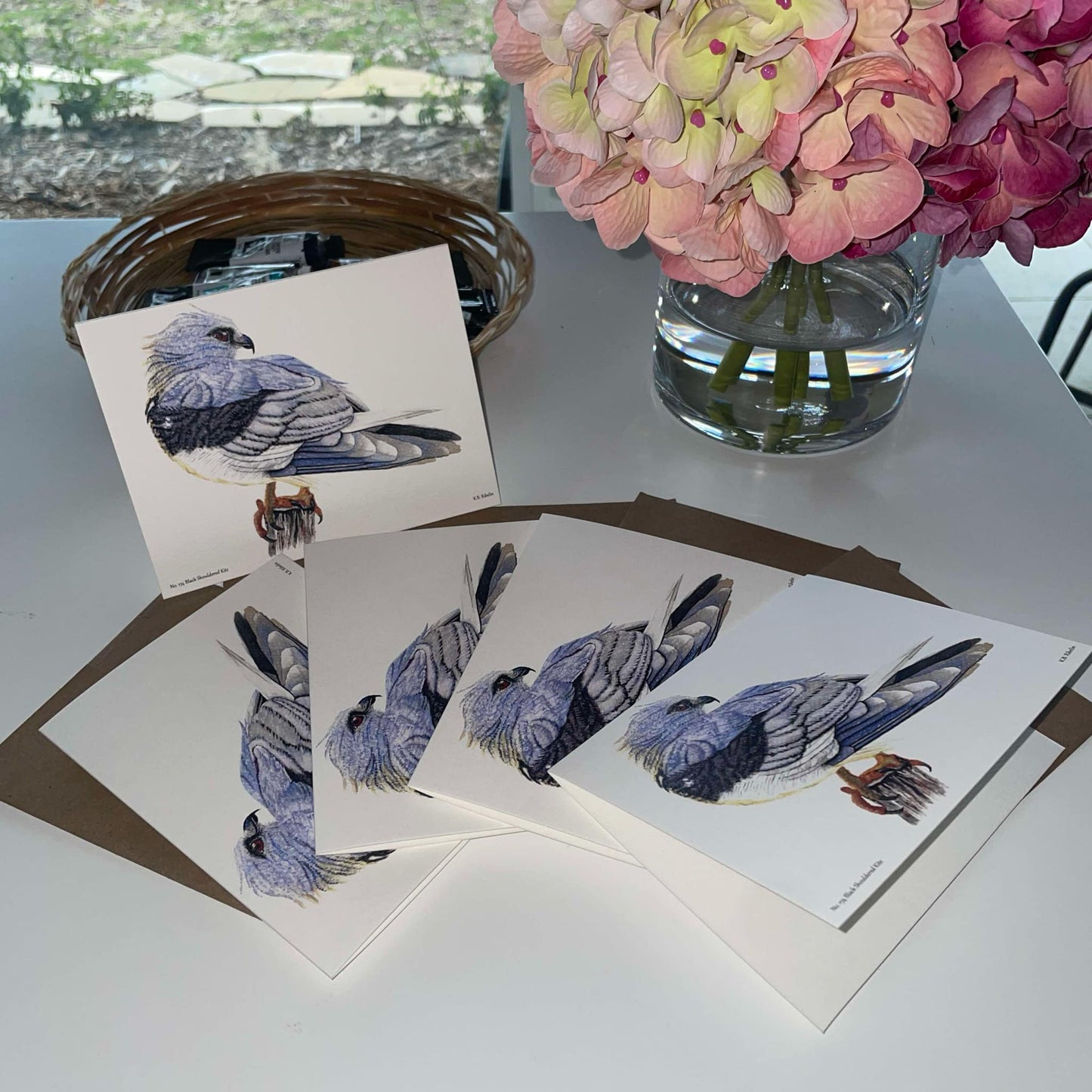 Black-shouldered Kite - Bird Art by KB - Notecard Individual