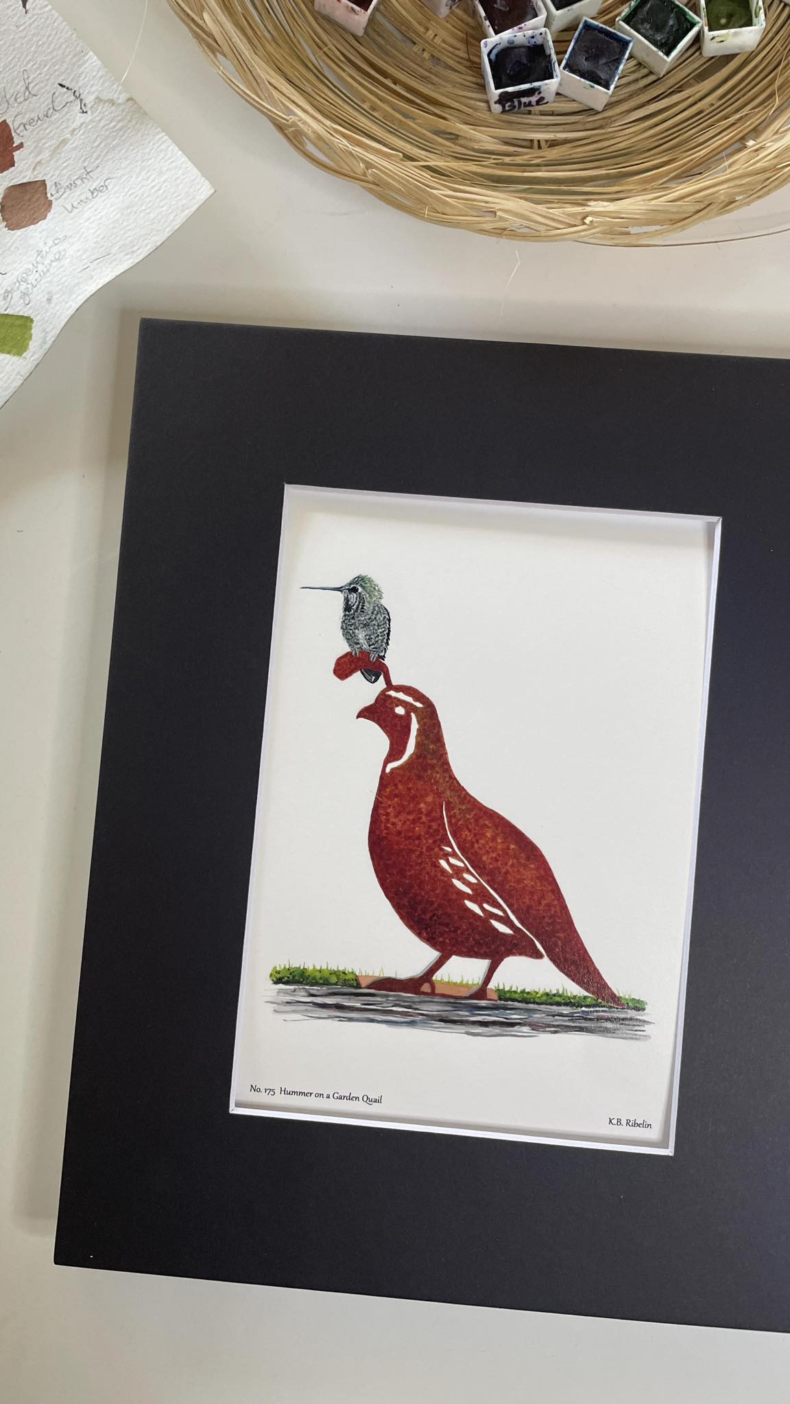 Hummer on a Garden Quail - Bird Art by KB - Giclee Print with Black Mat