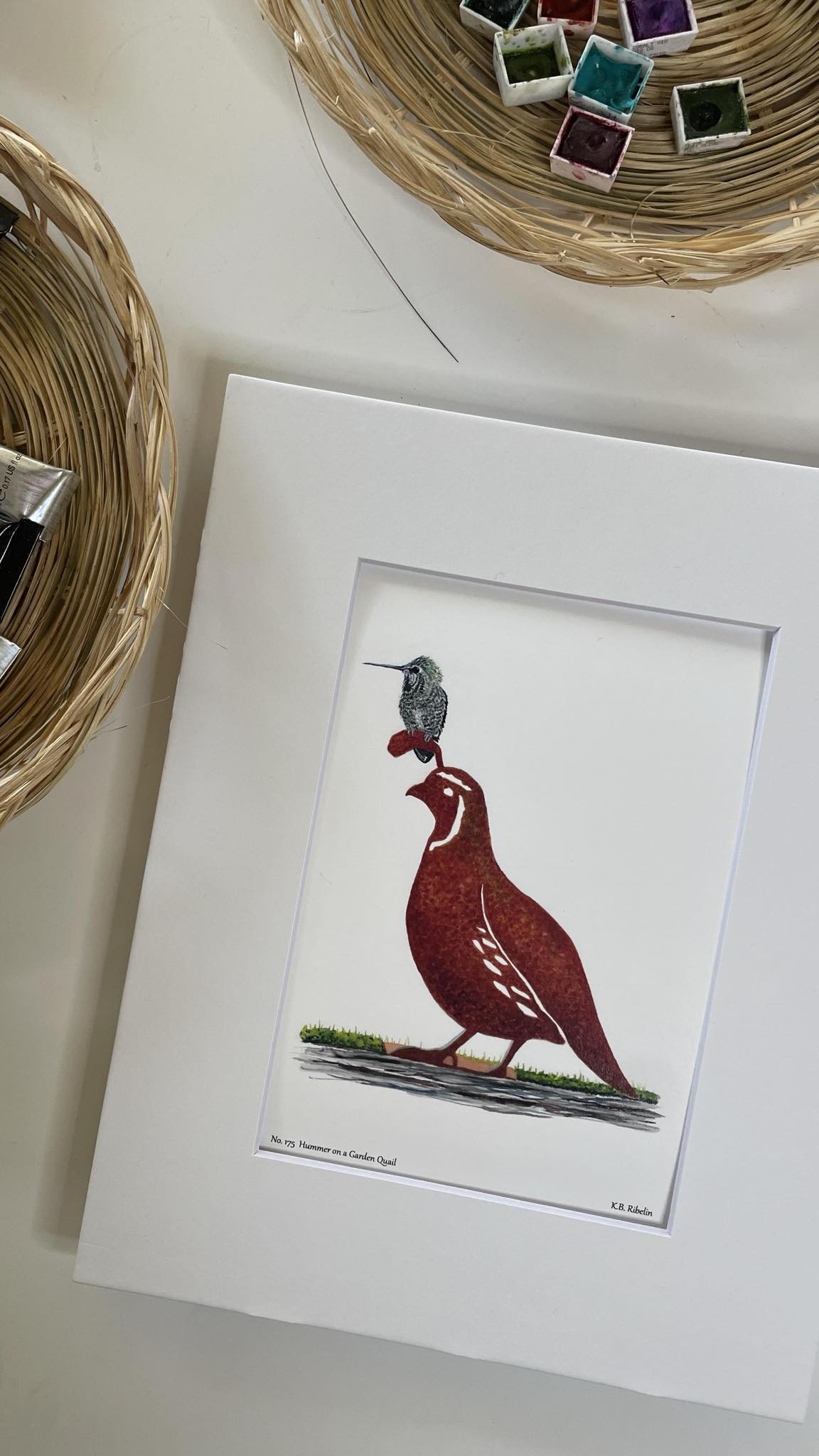 Hummer on a Garden Quail - Bird Art by KB - Giclee Print with White Mat