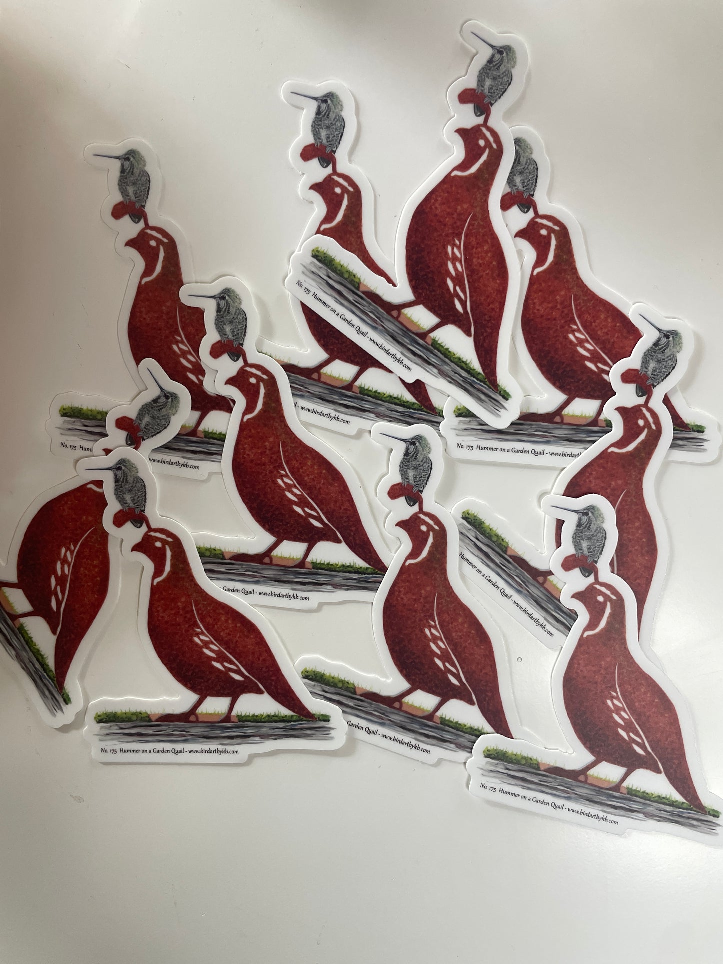 Hummer on a Garden Quail - Bird Art by KB - Sticker