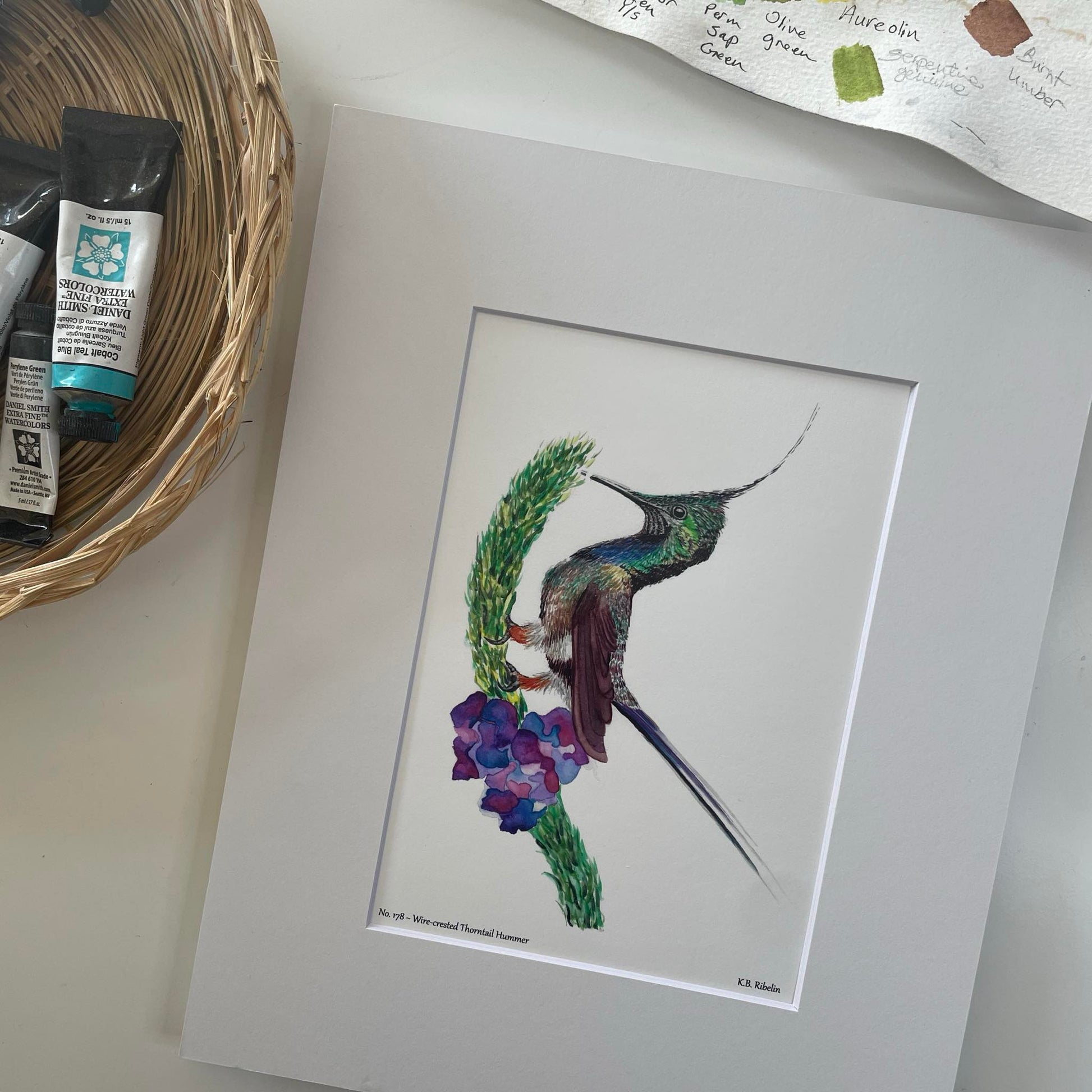 Wire-crested Thorntail Hummer - Bird Art by KB - Giclee Print with White Mat