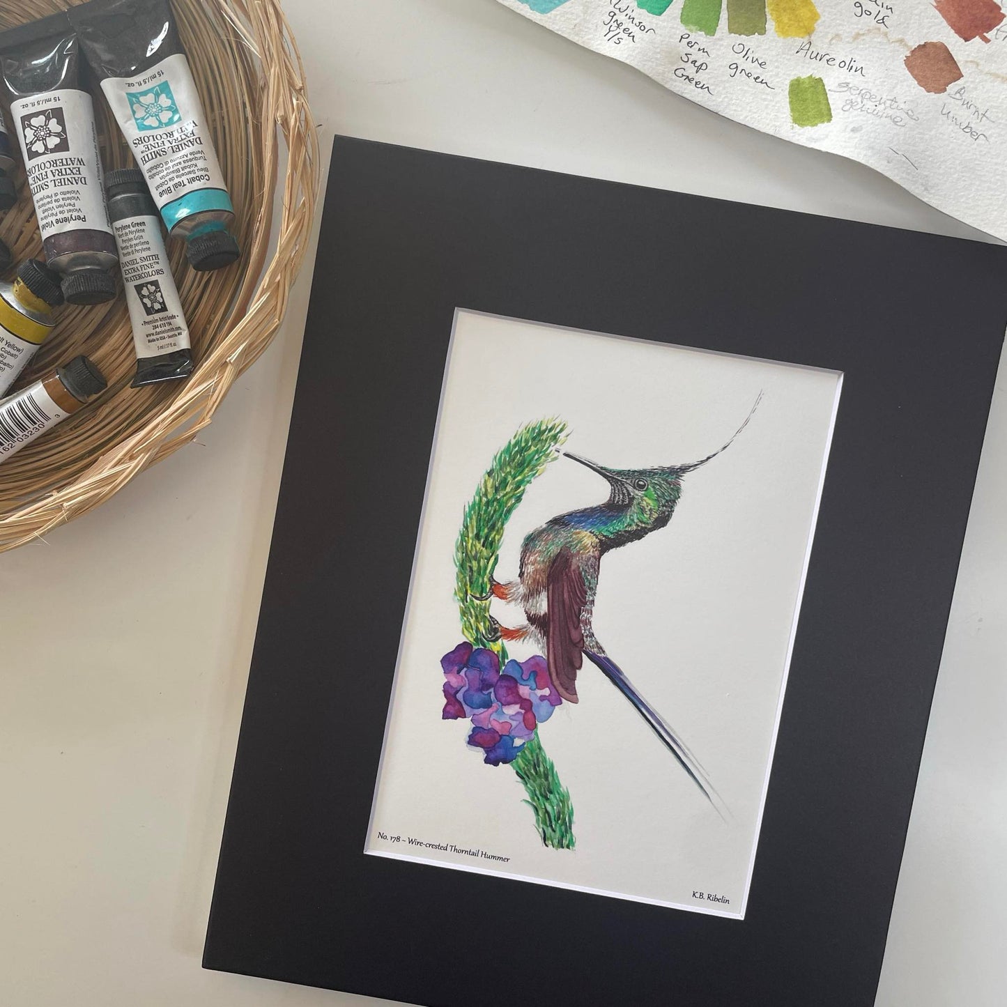Wire-crested Thorntail Hummer - Bird Art by KB - Giclee Print with Black Mat