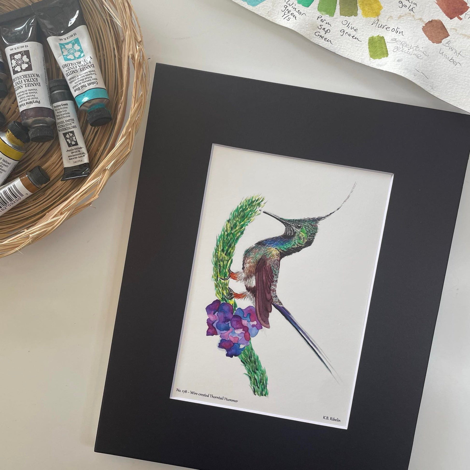 Wire-crested Thorntail Hummer - Bird Art by KB - Giclee Print with Black Mat