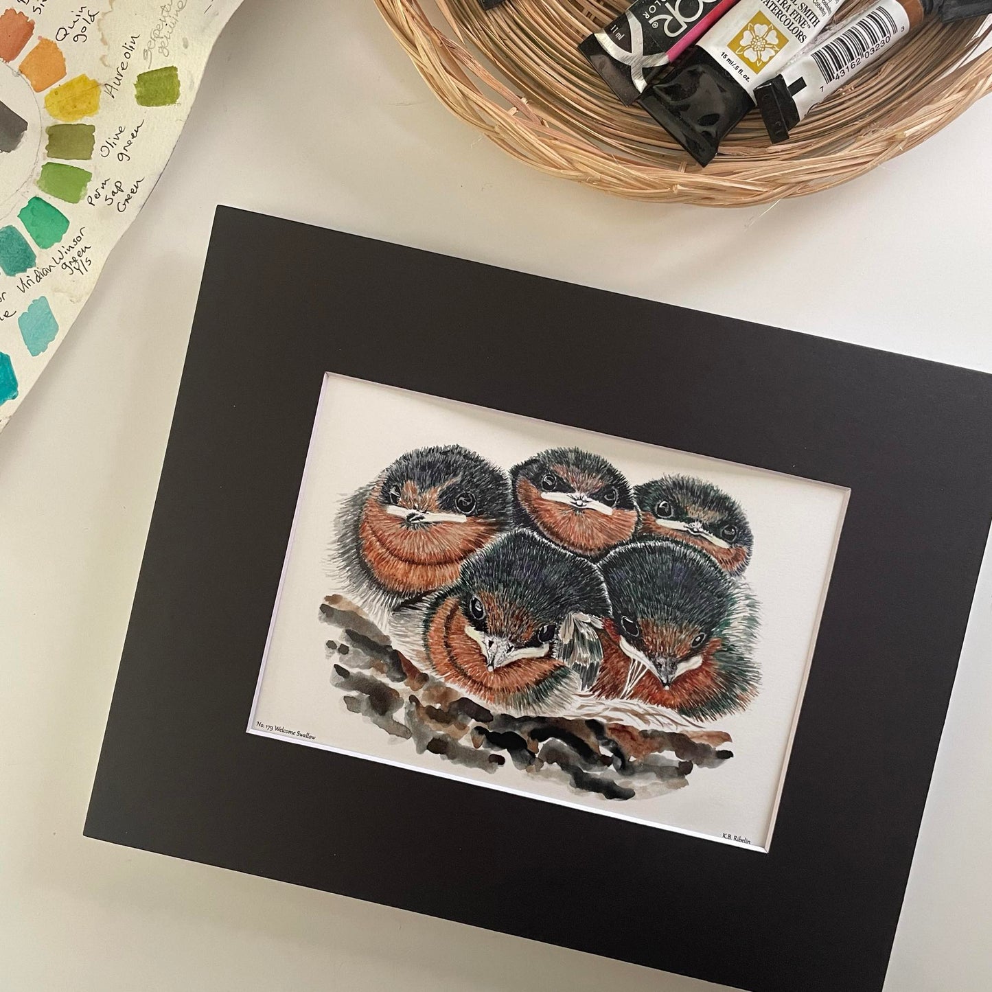 Welcome Swallows - Bird Art by KB - Giclee Print with Black Mat
