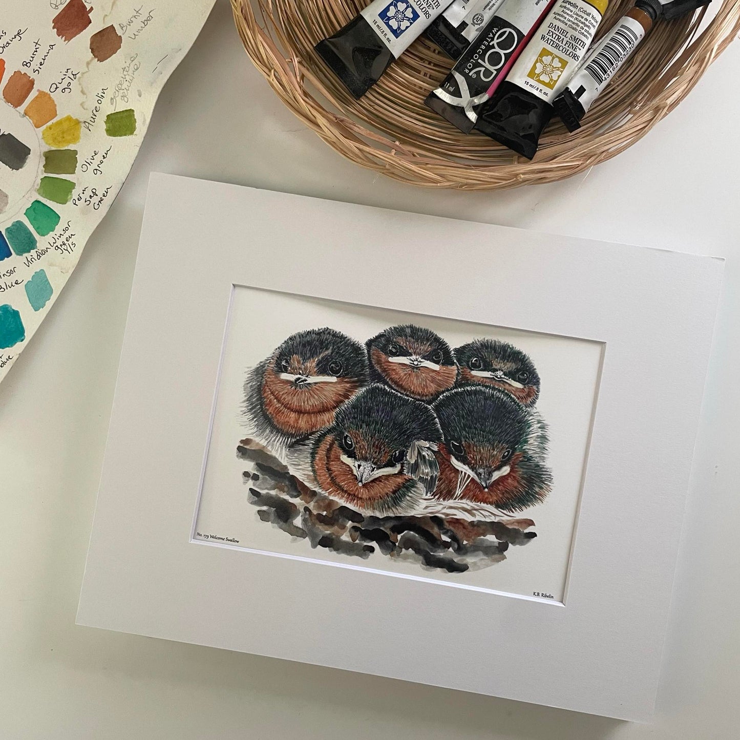 Welcome Swallows - Bird Art by KB - Giclee Print with White Mat