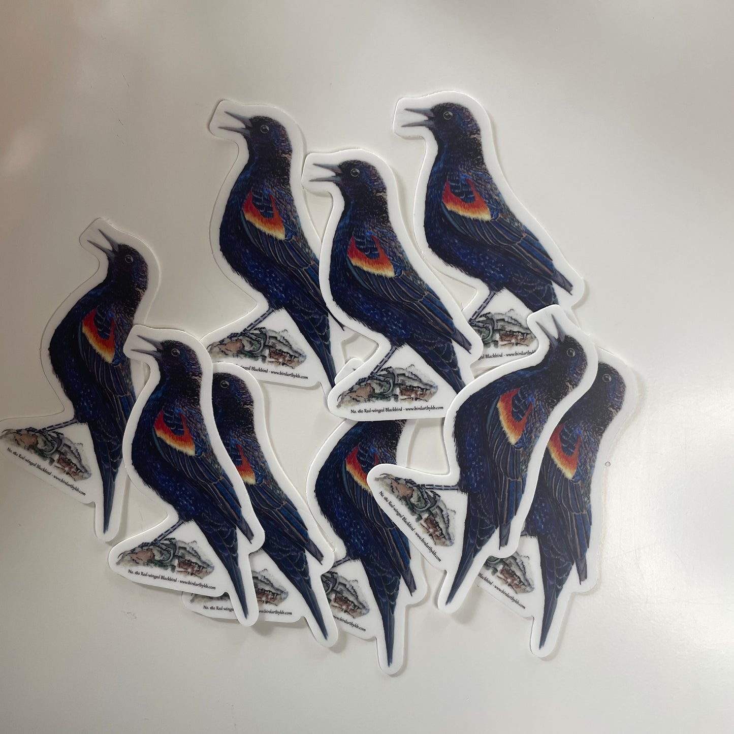 Red-winged Blackbird - Bird Art by KB - Sticker