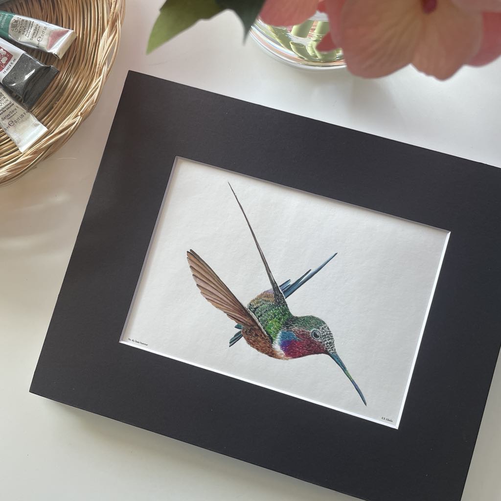 Oasis Hummer - Bird Art by KB - Giclee Print with Black Mat