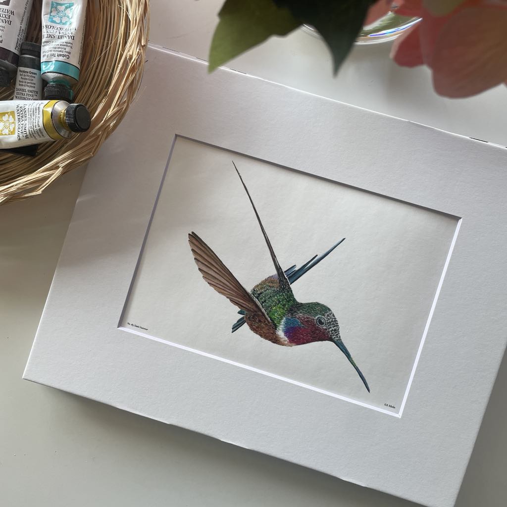 Oasis Hummer - Bird Art by KB - Giclee Print with White Mat