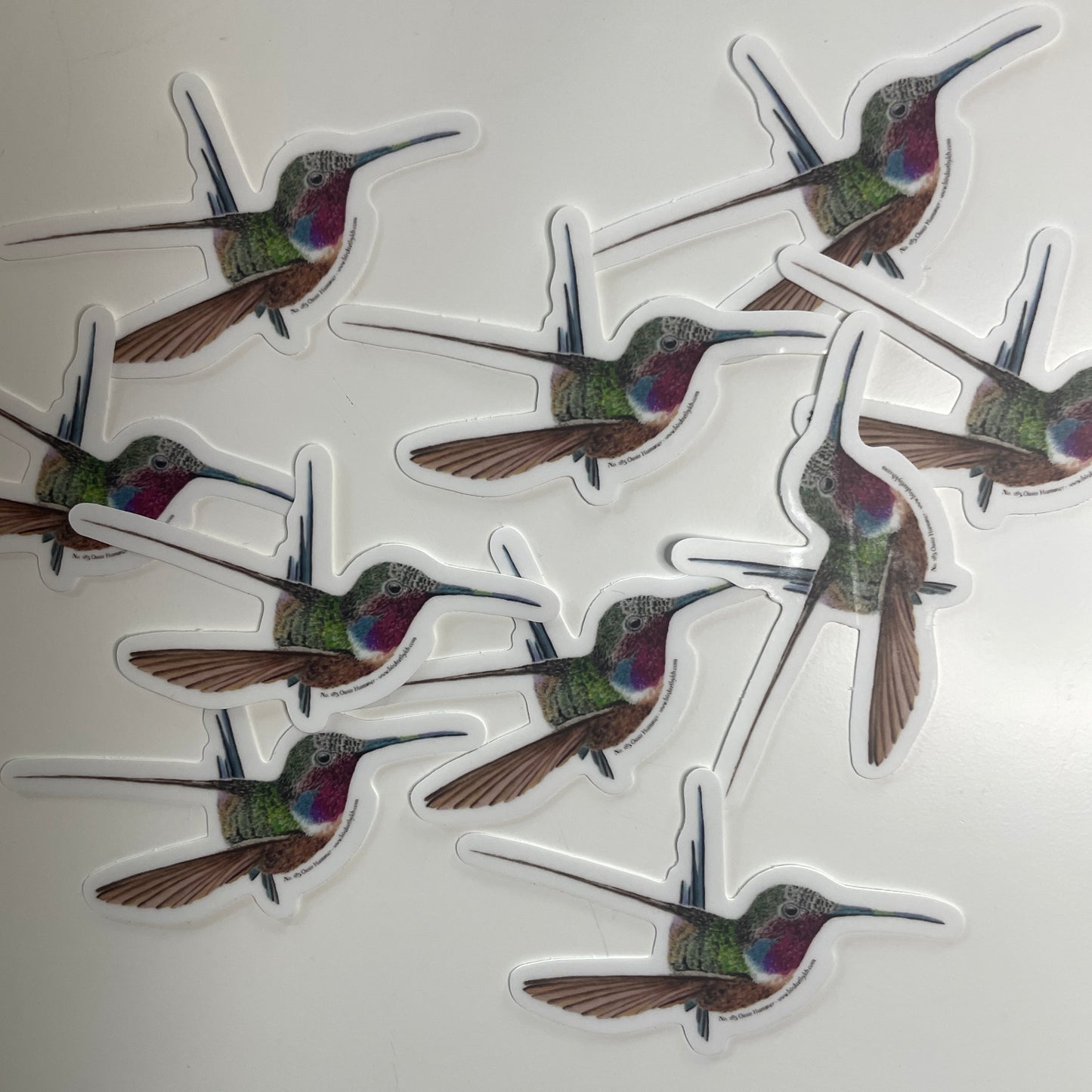 Oasis Hummer - Bird Art by KB - Sticker