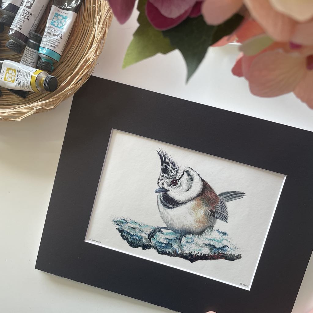 Crested Tit- Bird Art by KB - Giclee Print with Black Mat