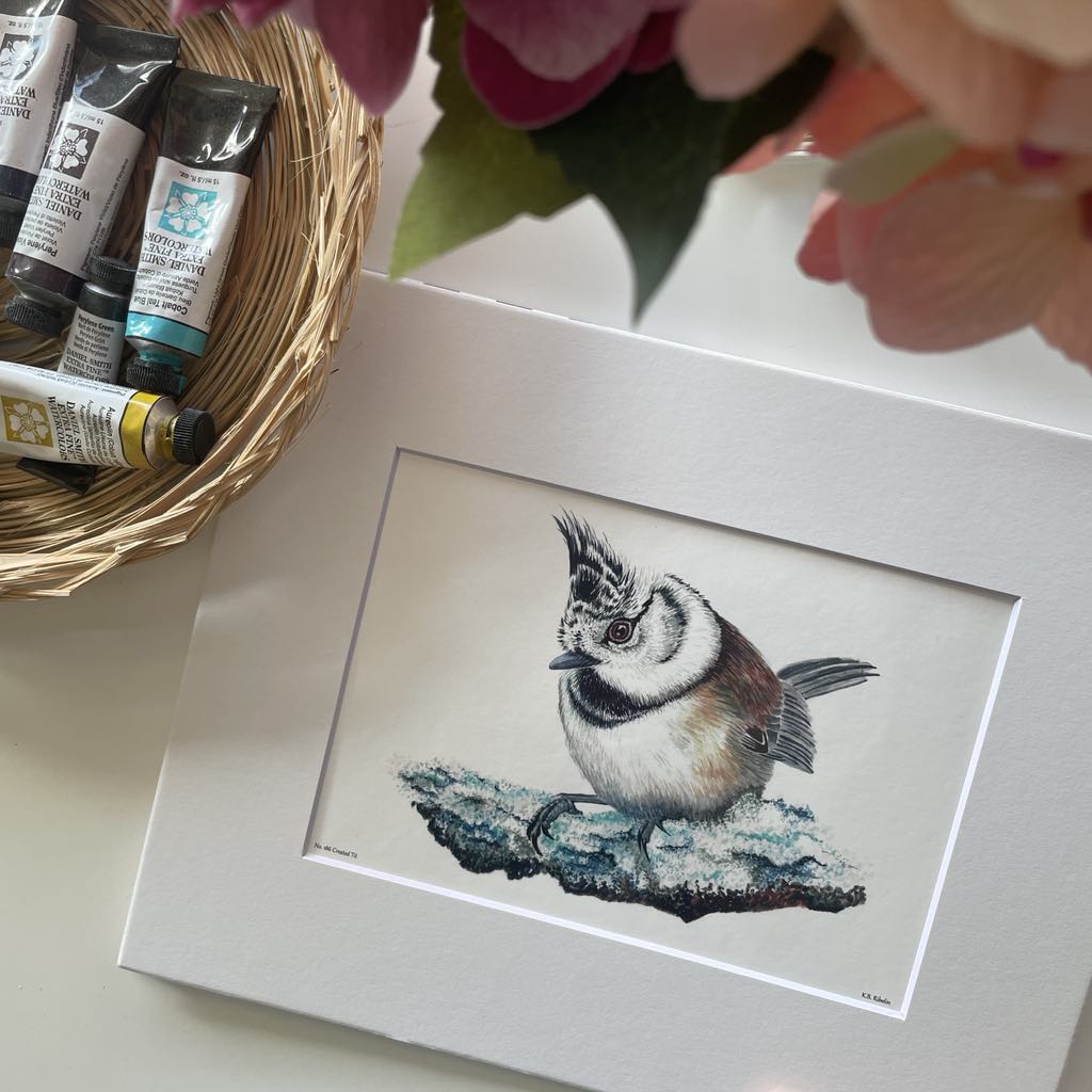 Crested Tit- Bird Art by KB - Giclee Print with White Mat