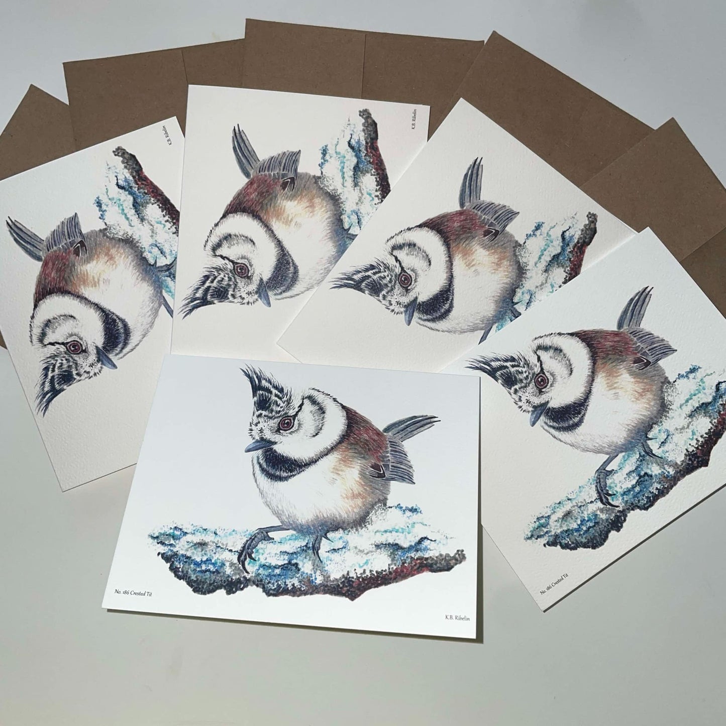 Crested Tit- Bird Art by KB - Notecard Set