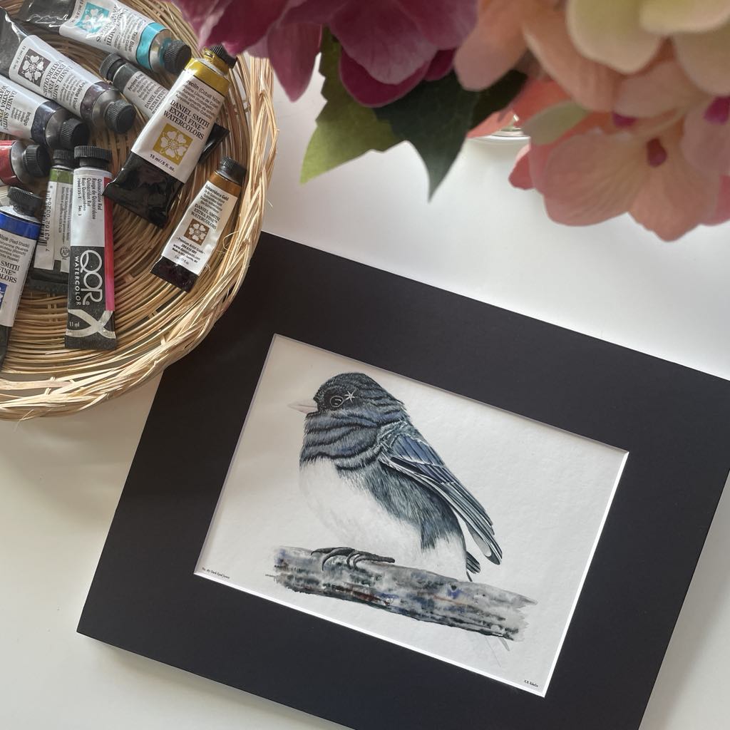 Dark-eyed Junco - Bird Art by KB - Giclee Print with Black Mat