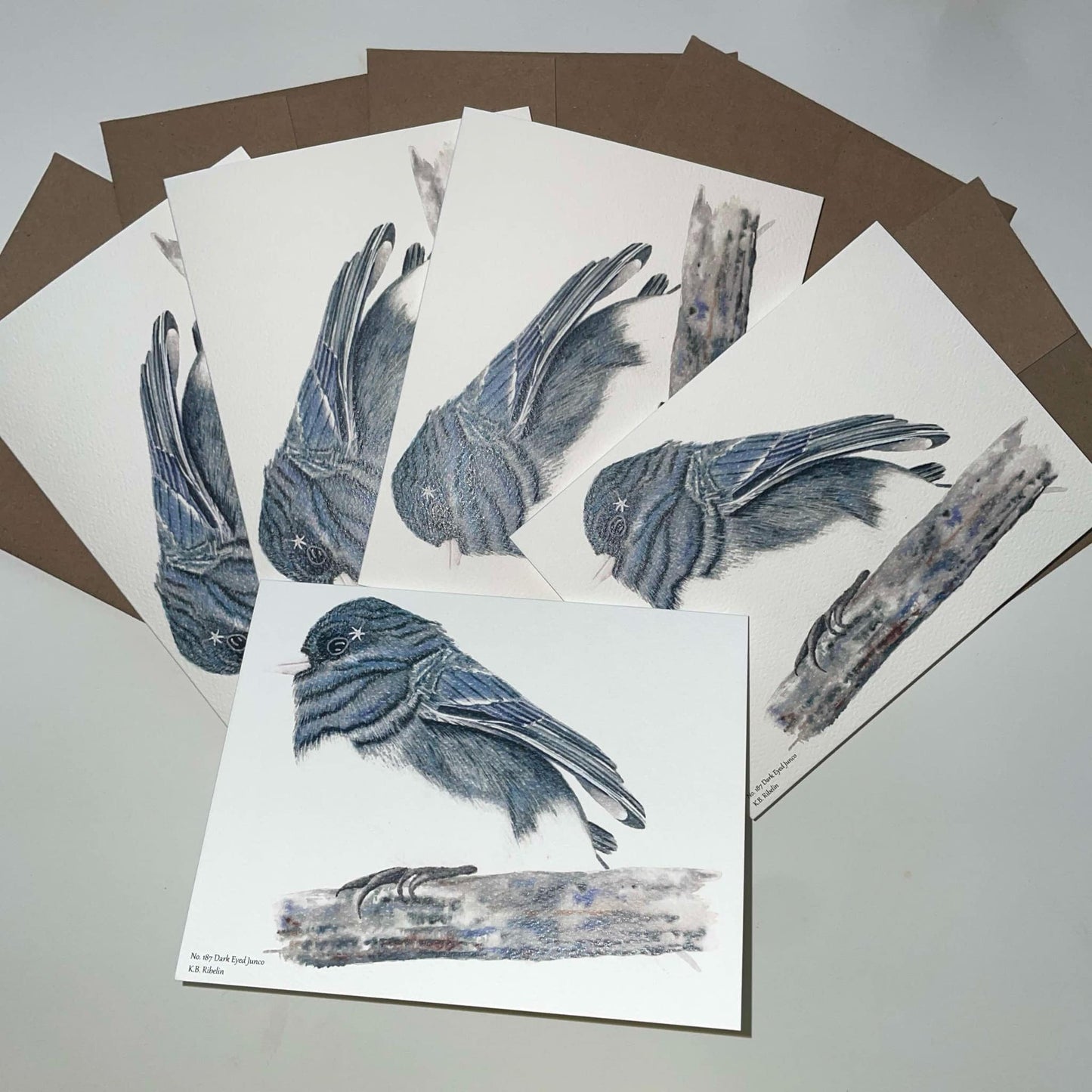 Dark-eyed Junco - Bird Art by KB - Notecard Set