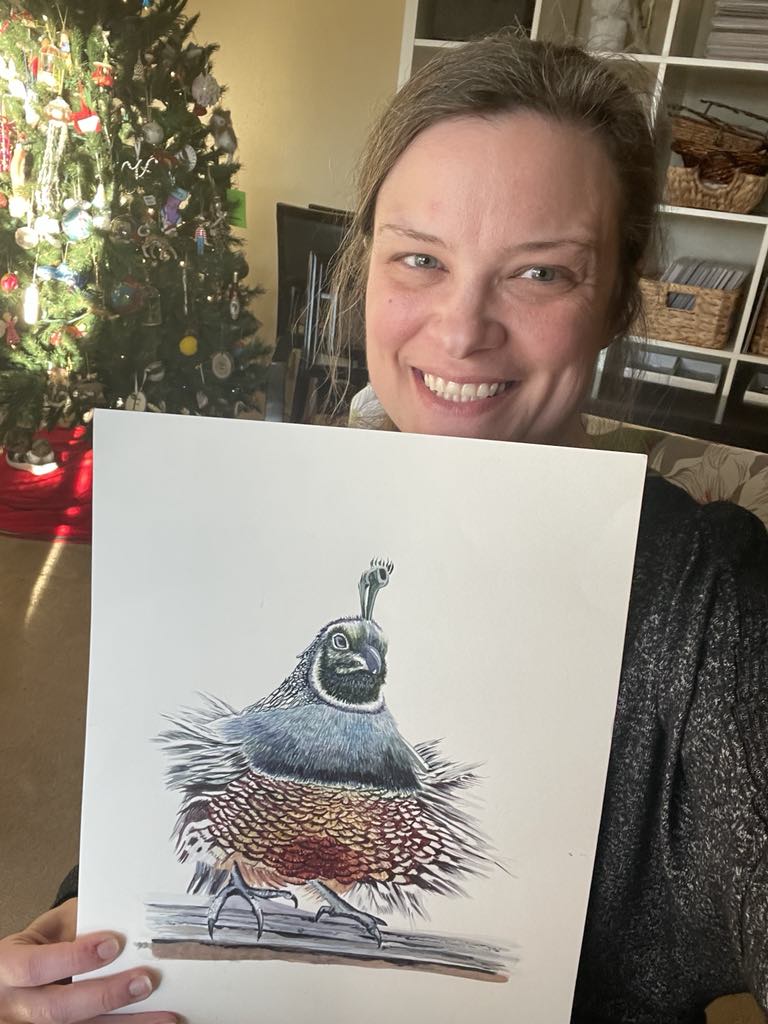 California Quail - Bird Art by KB - Original