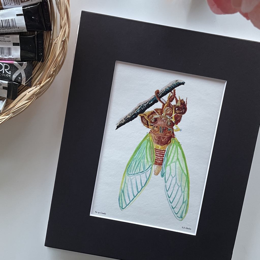 Cicada - Bird Art by KB - Giclee Print with Black Mat