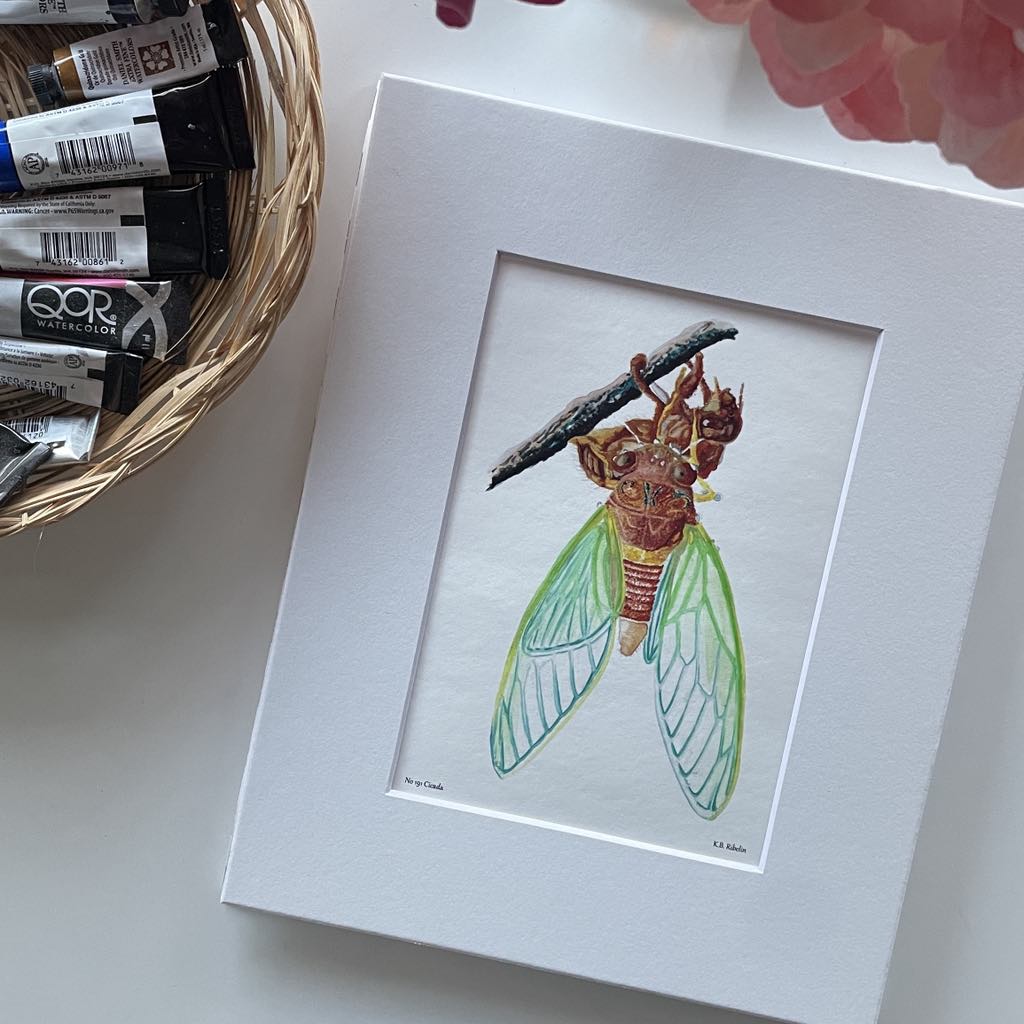 Cicada - Bird Art by KB - Giclee Print with White Mat