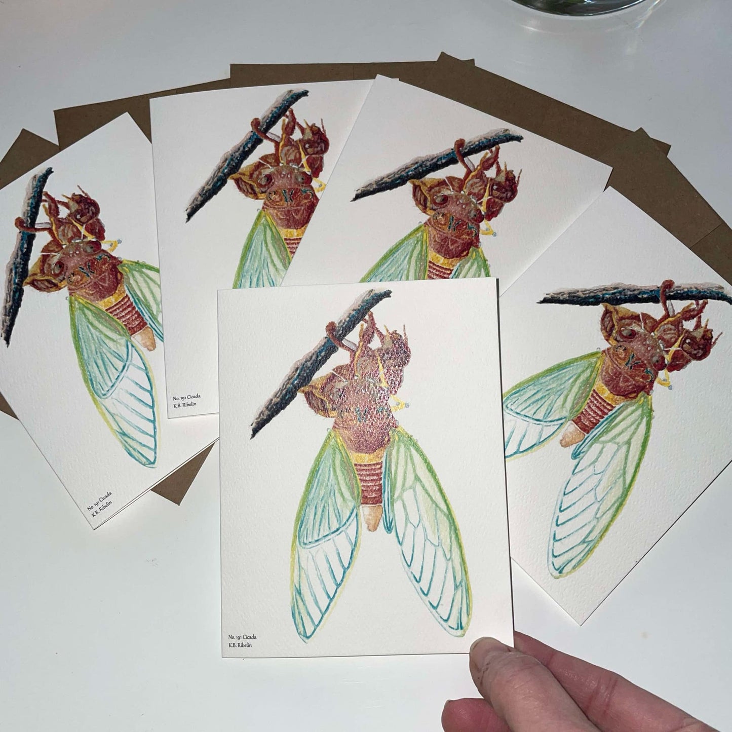 Cicada - Bird Art by KB - Notecard Individual