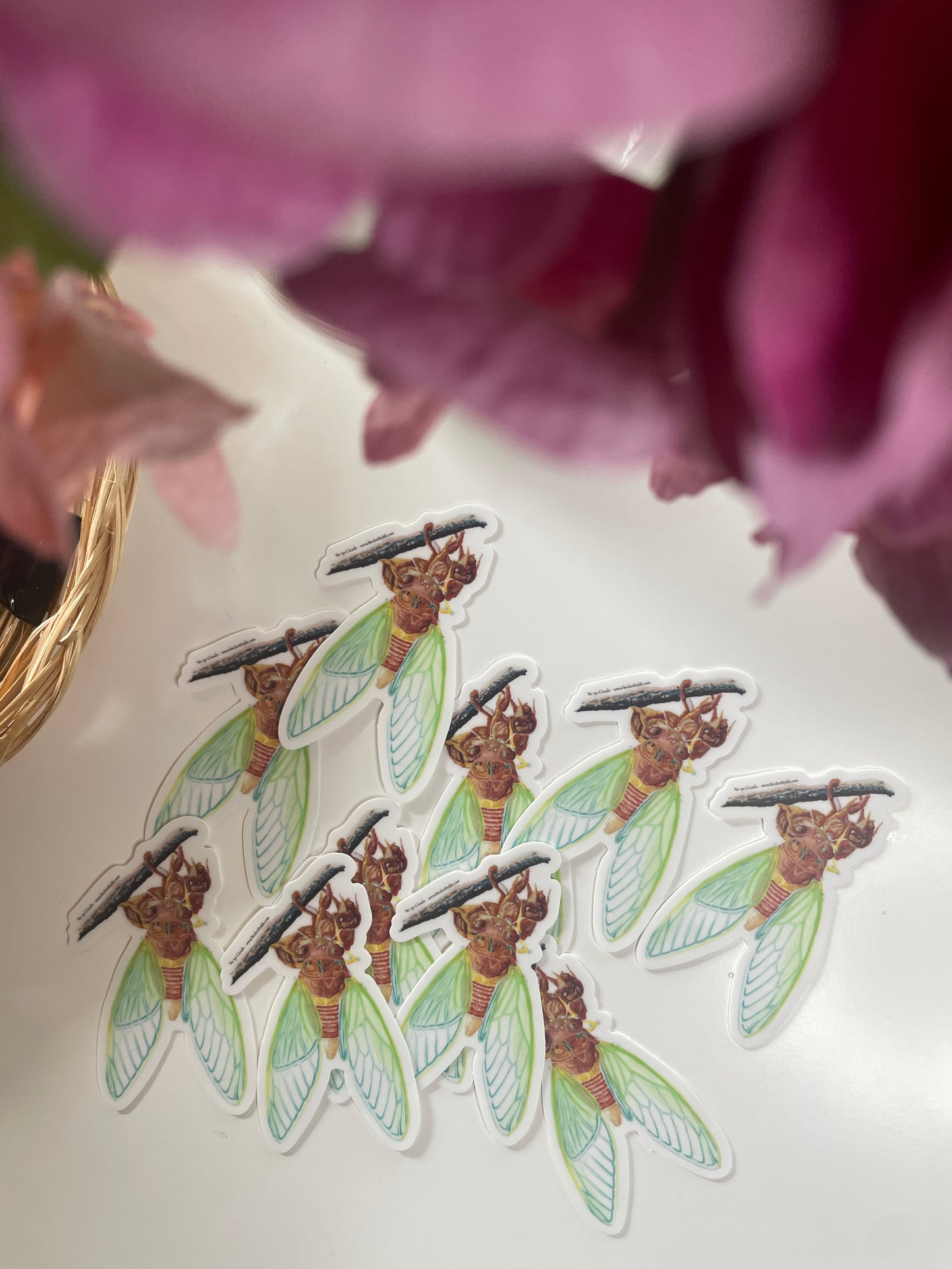 Cicada - Bird Art by KB - Sticker