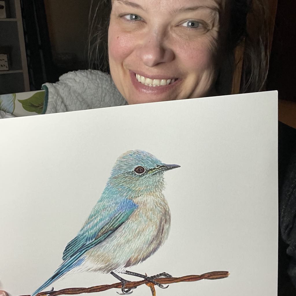 Mountain Bluebird - Bird Art by KB - Original