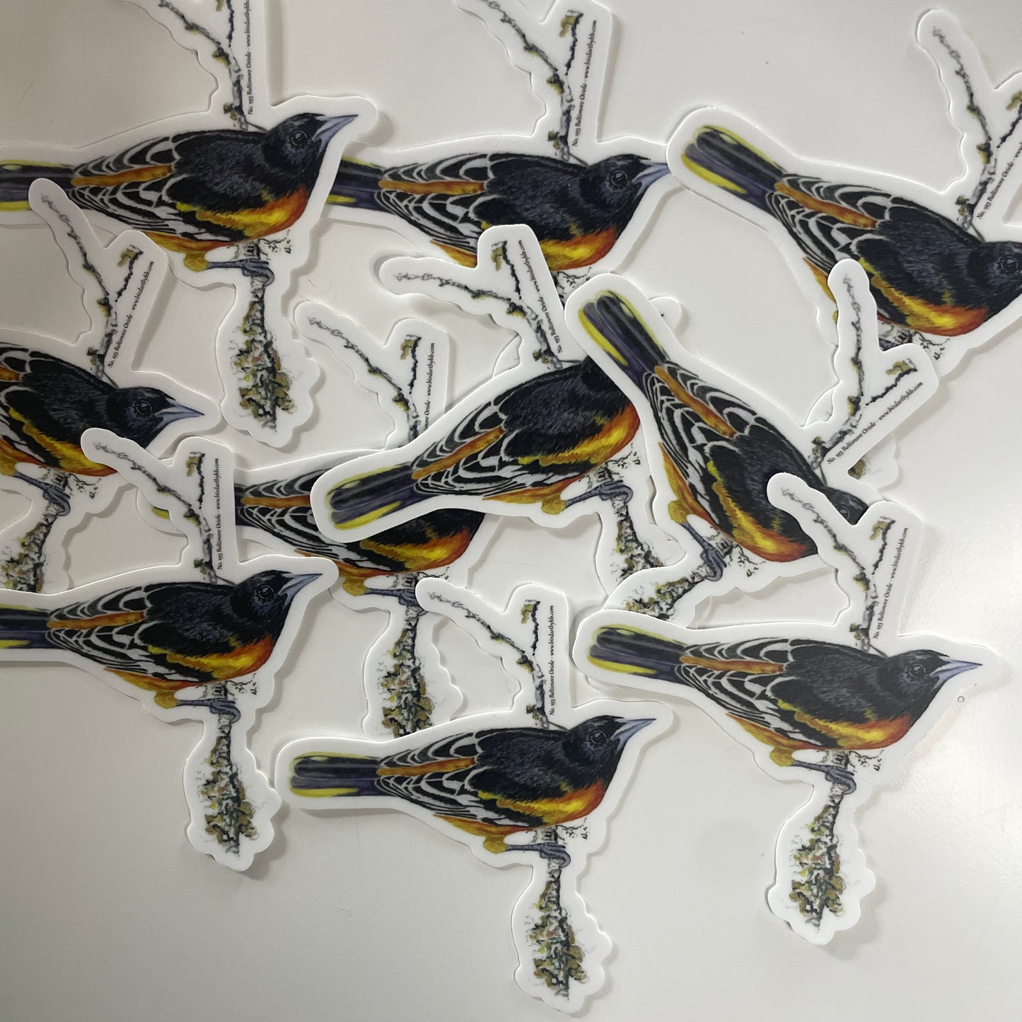 Baltimore Oriole - Bird Art by KB - Sticker