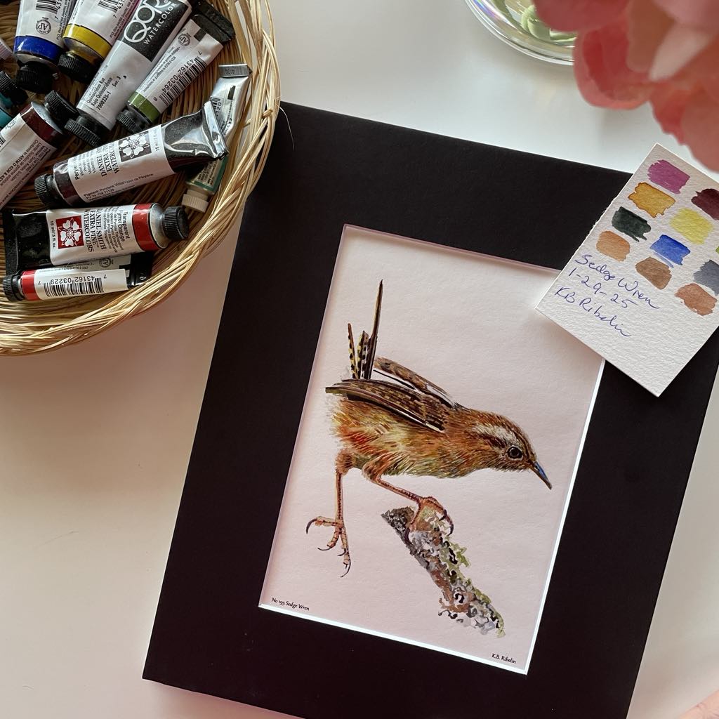Sedge Wren - Bird Art by KB - Giclee Print with Black Mat