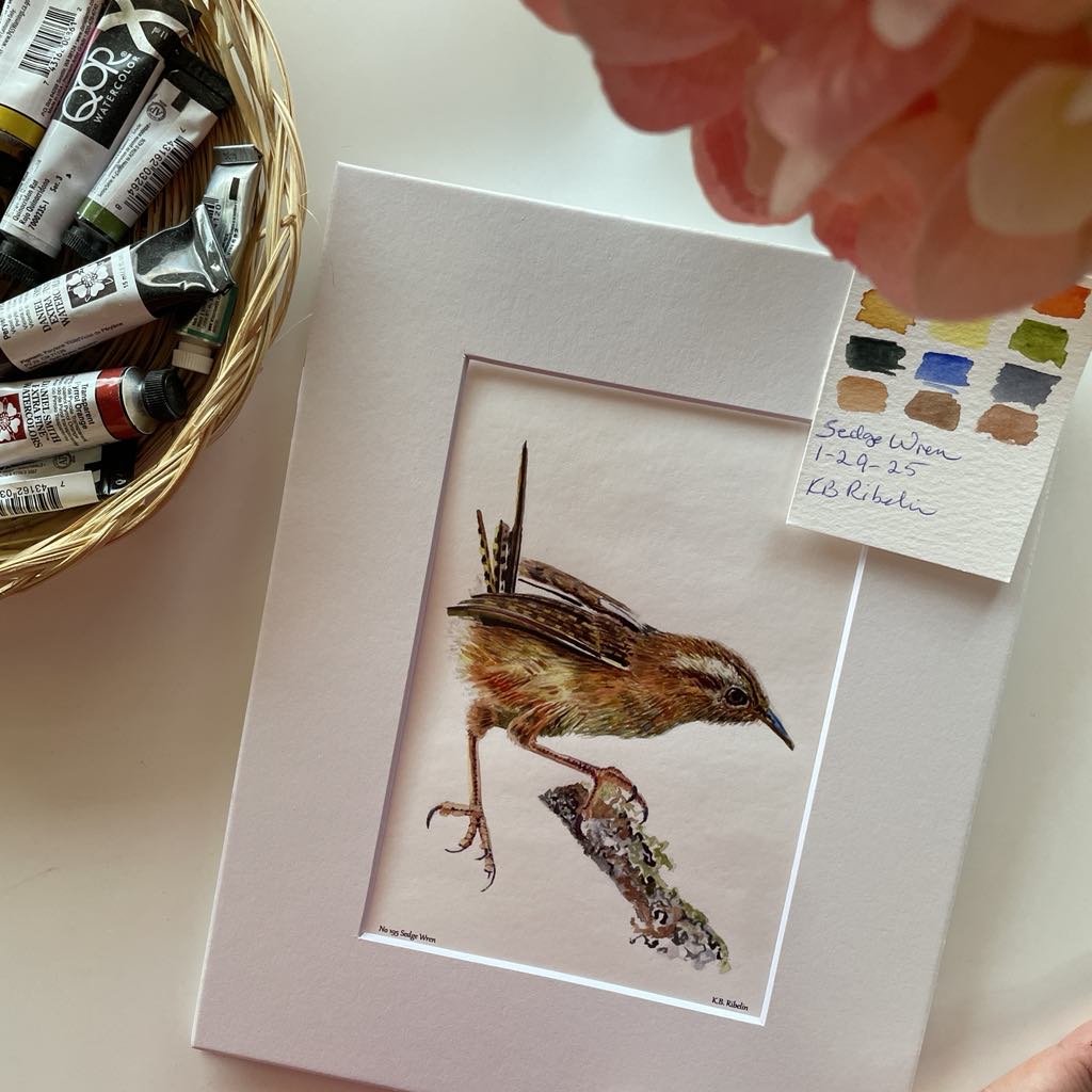Sedge Wren - Bird Art by KB - Giclee Print with White Mat
