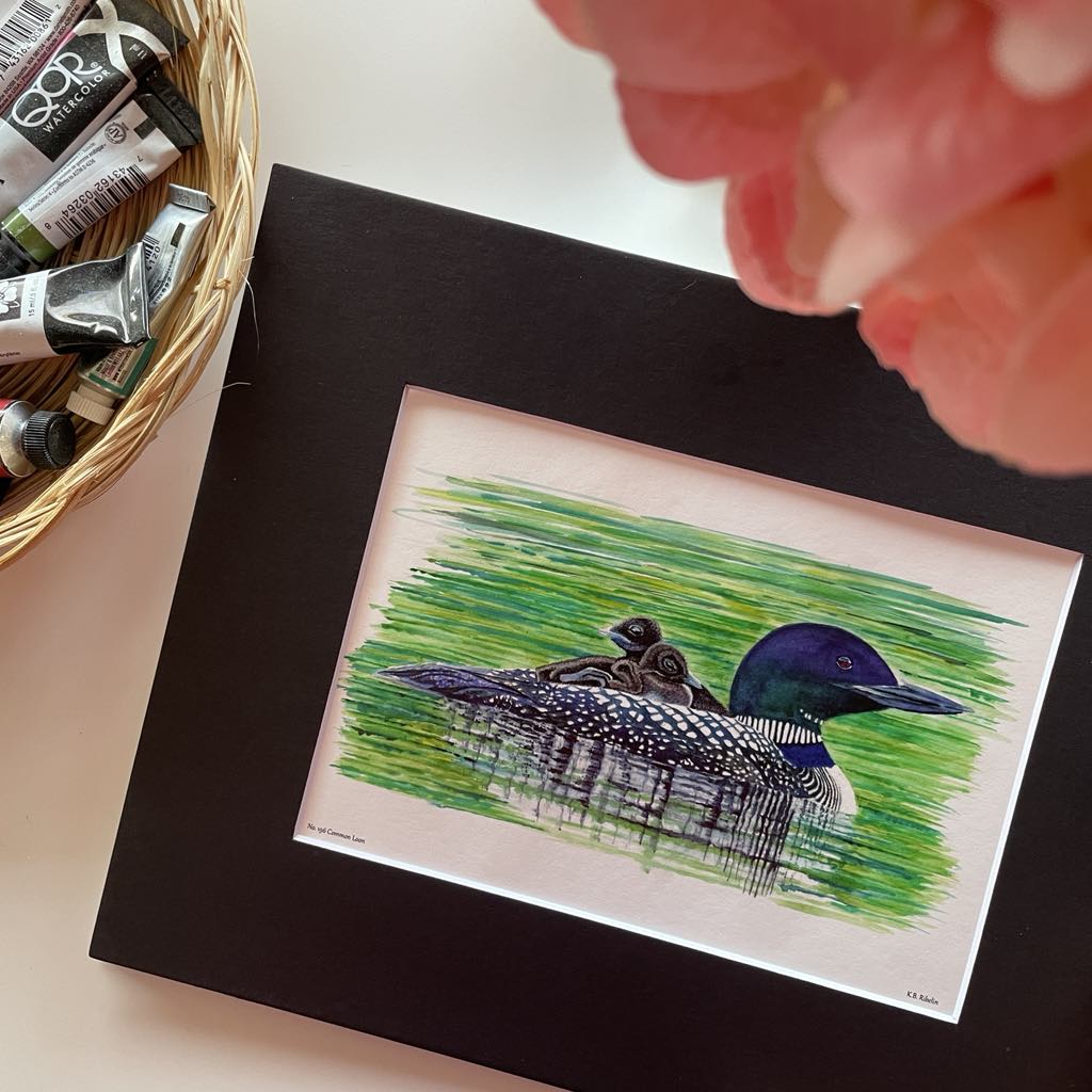Common Loon - Bird Art by KB - Giclee Print with Black Mat