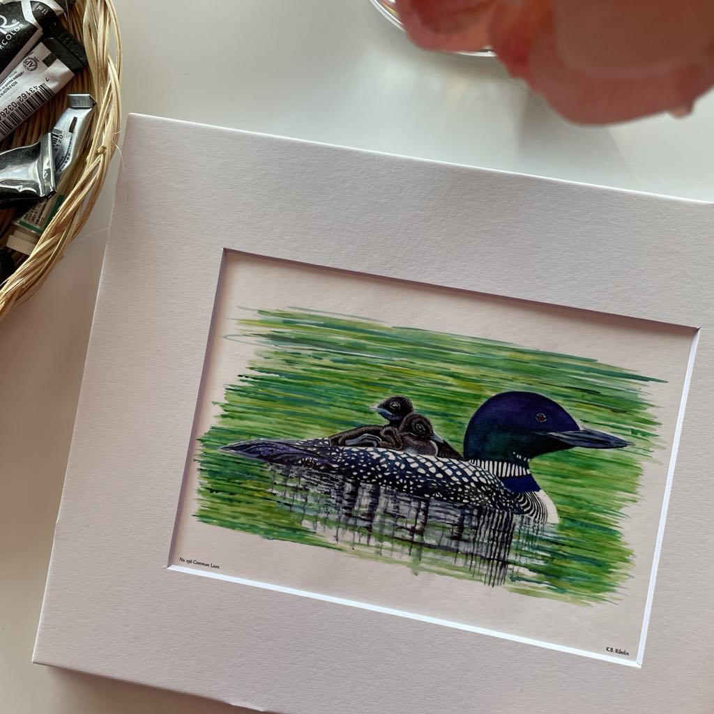Common Loon - Bird Art by KB - Giclee Print with White Mat