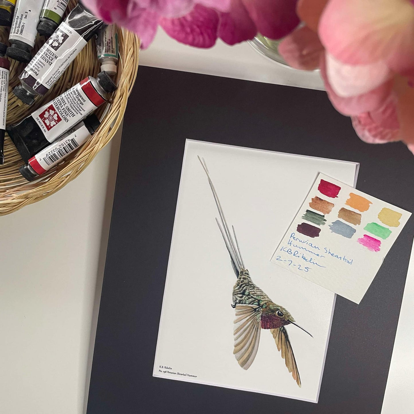 Peruvian Sheertail Hummingbird - Bird Art by KB - Giclee Print with Black Mat