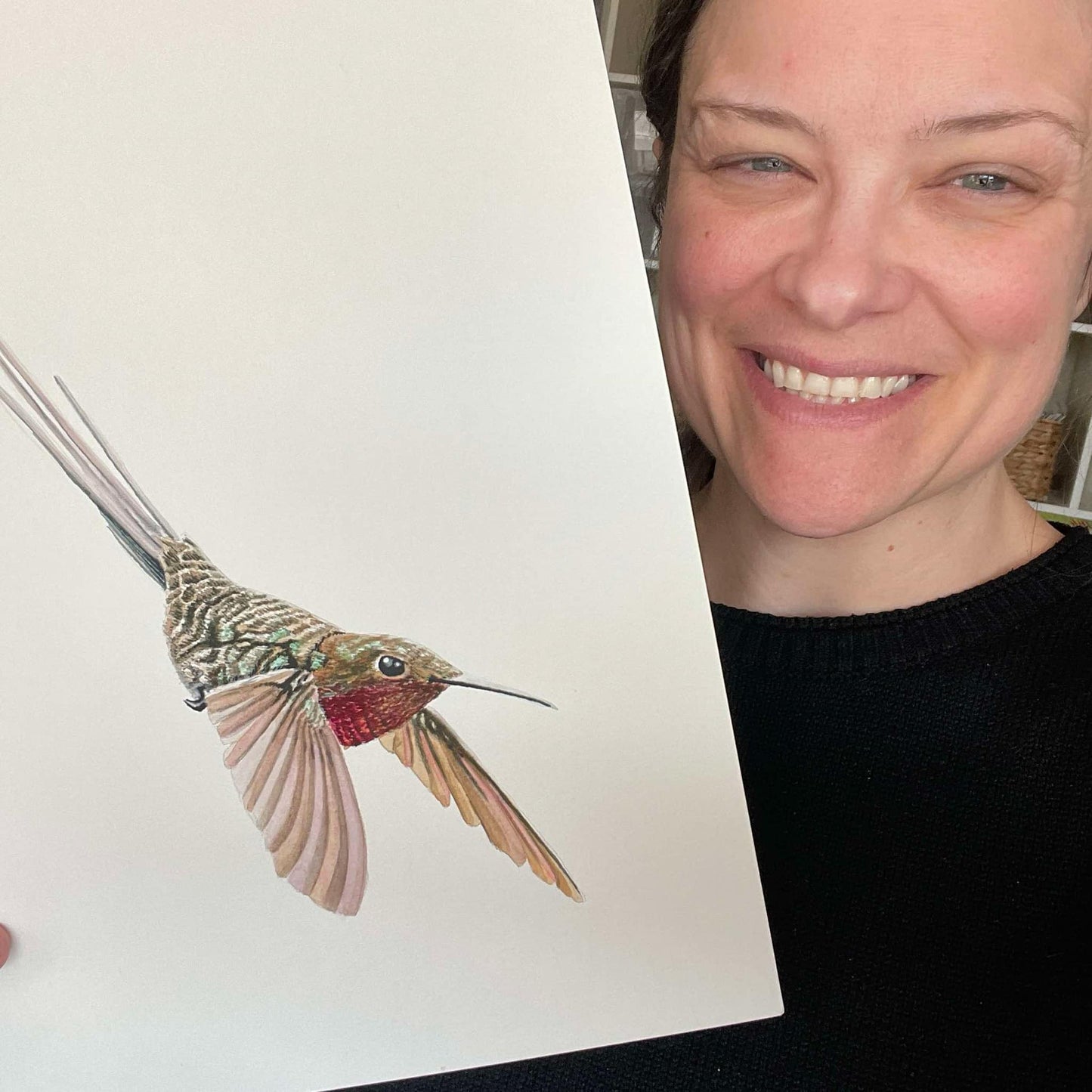 Peruvian Sheertail Hummingbird - Bird Art by KB - Original