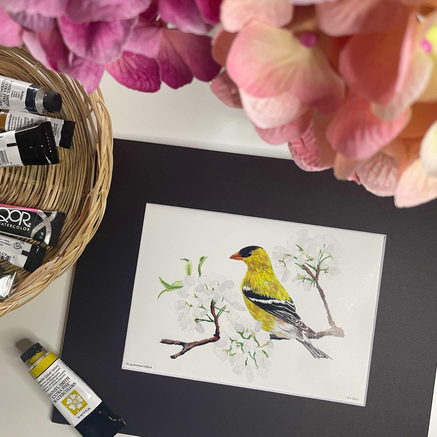 American Goldfinch - Bird Art by KB - Giclee Print with Black Mat