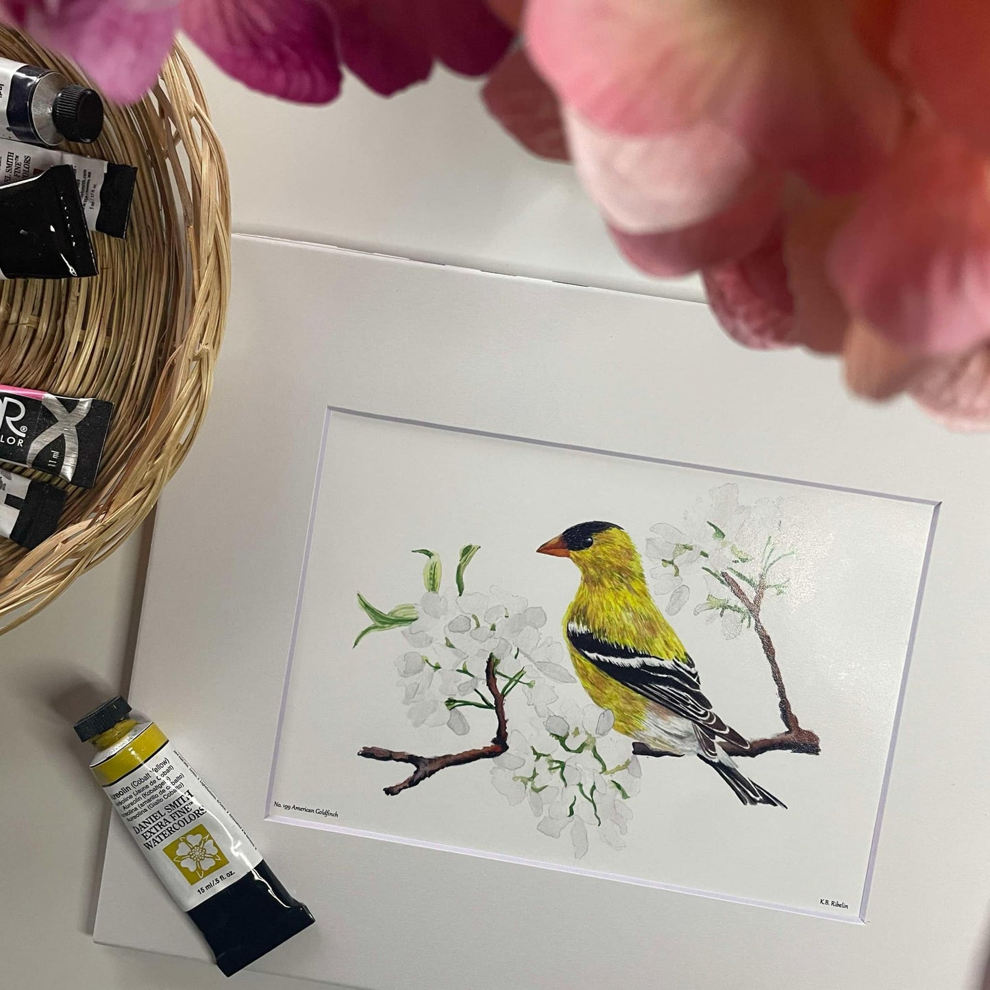 American Goldfinch - Bird Art by KB - Giclee Print with White Mat