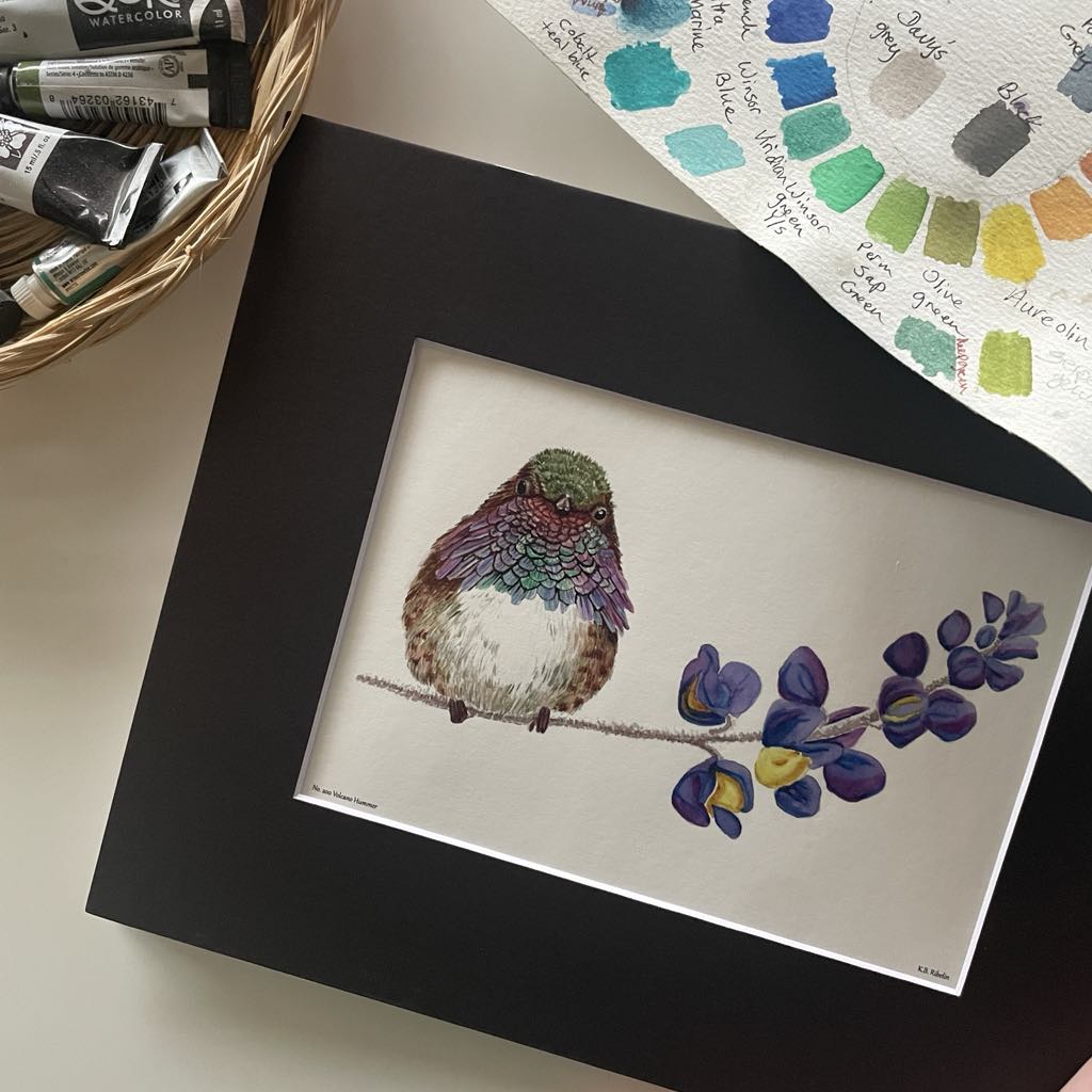 Volcano Hummingbird - Bird Art by KB - Giclee Print with Black Mat