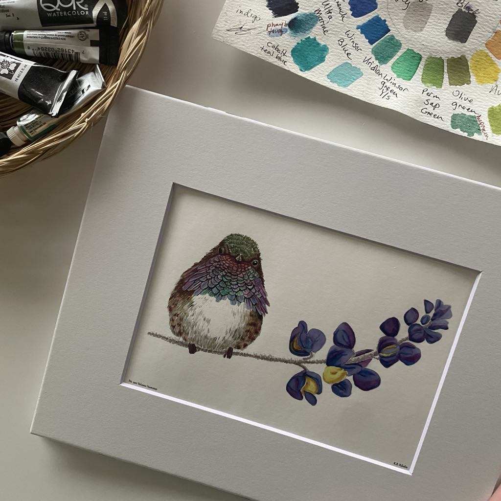 Volcano Hummingbird - Bird Art by KB - Giclee Print with White Mat
