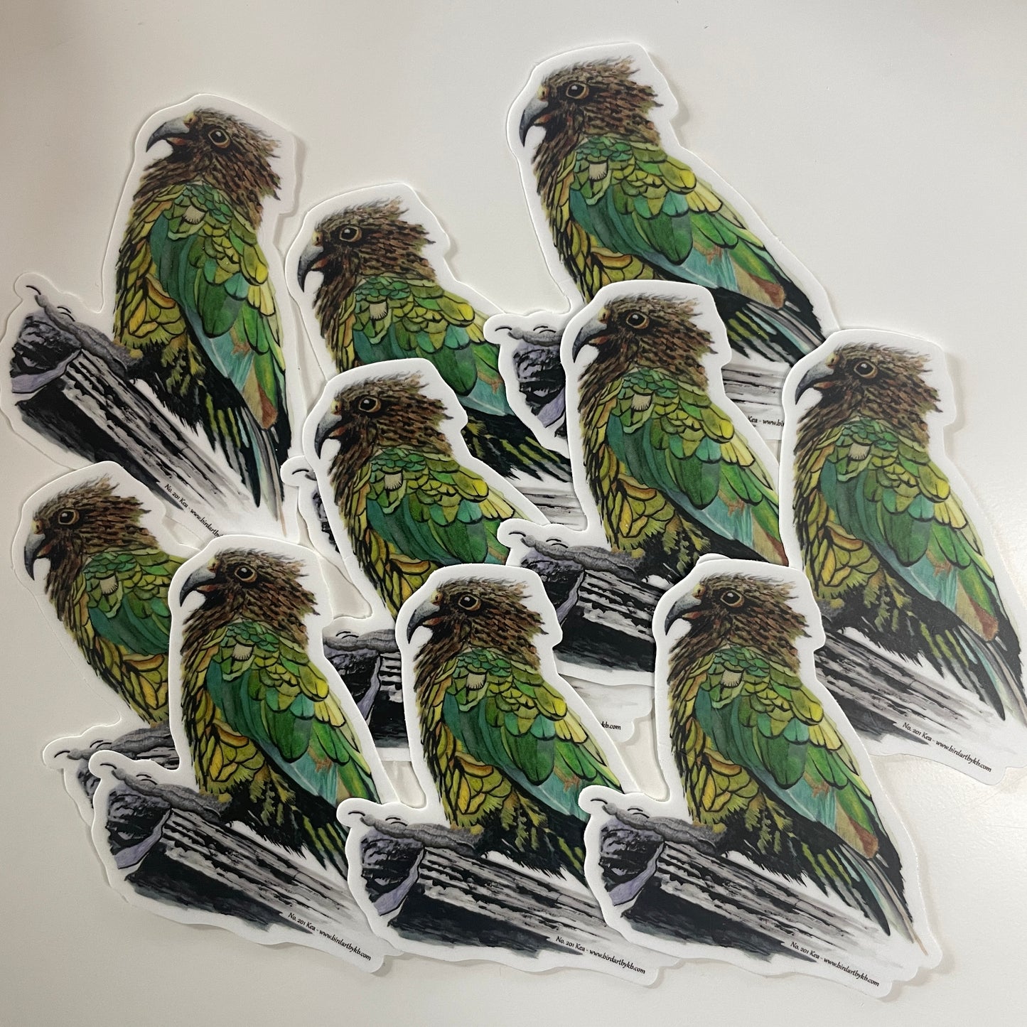 Kea - Bird Art by KB - Sticker