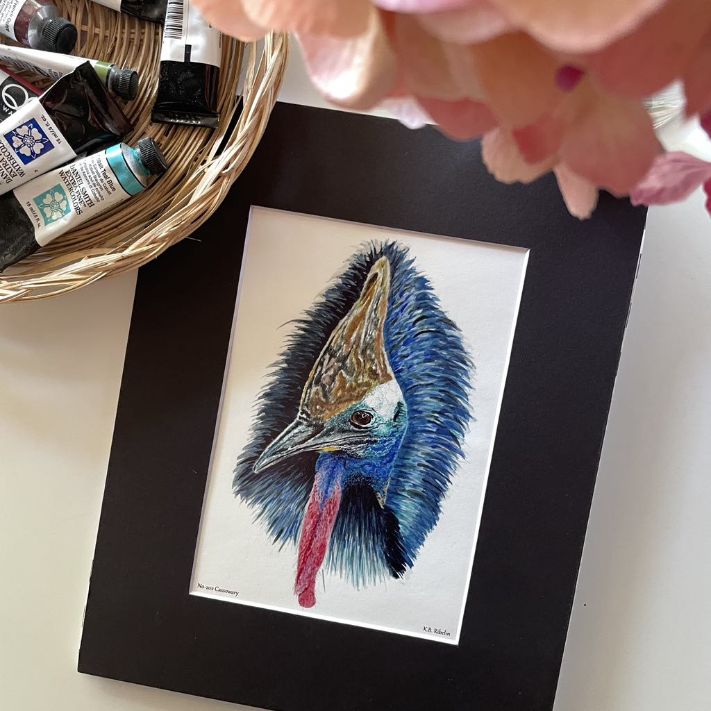 Cassowary - Bird Art by KB - Giclee Print with Black Mat