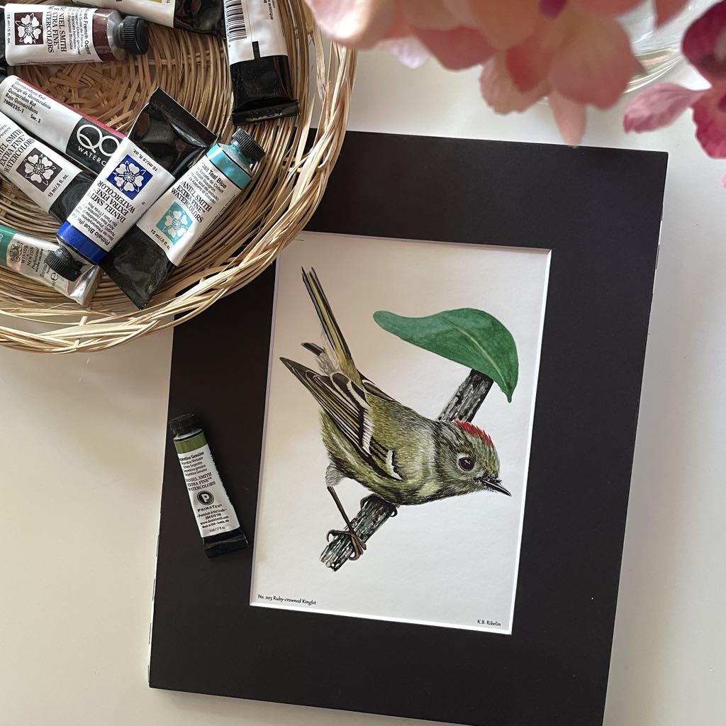 Ruby-crowned Kinglet - Bird Art by KB - Giclee Print with Black Mat