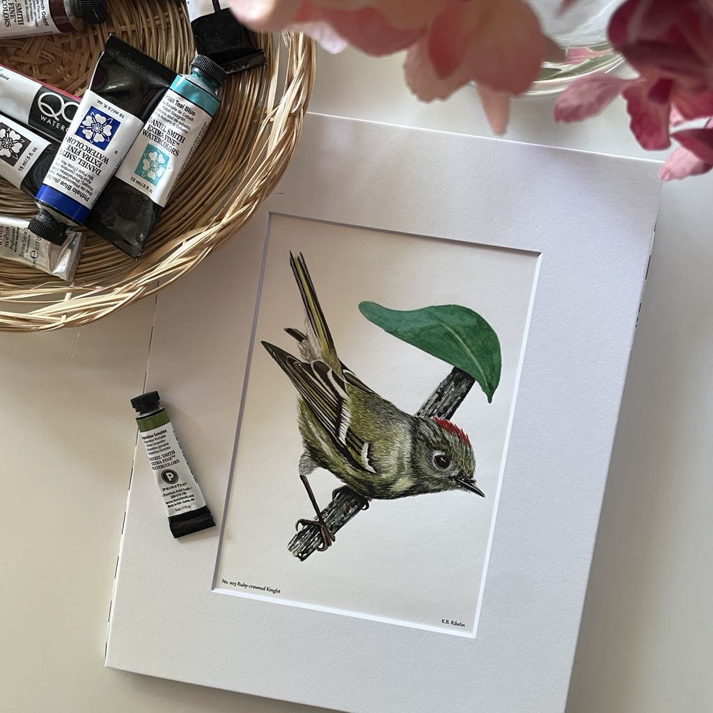 Ruby-crowned Kinglet - Bird Art by KB - Giclee Print with White Mat
