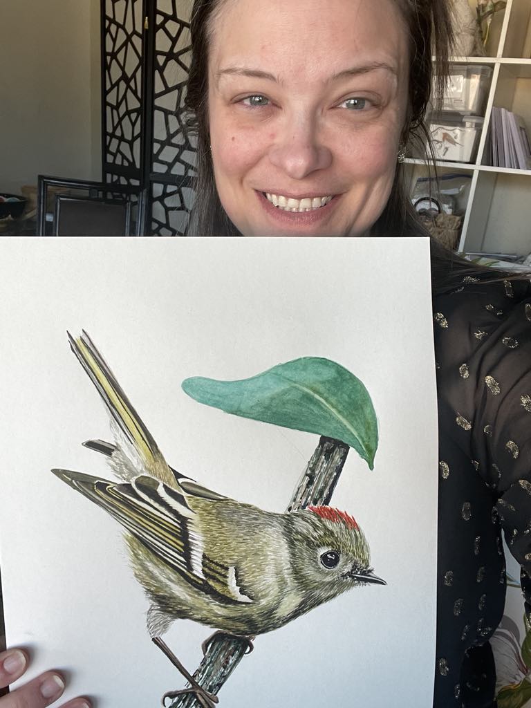 Ruby-crowned Kinglet - Bird Art by KB - Original