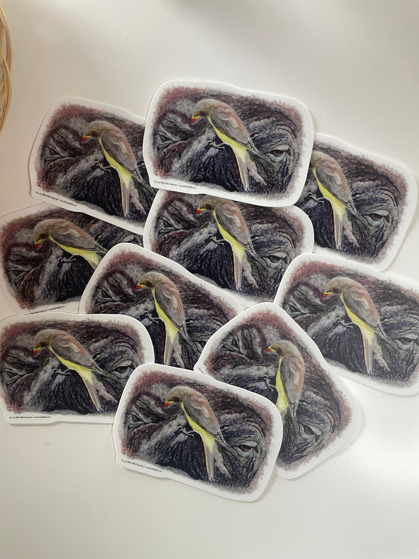 Yellow-billed Oxpecker - Bird Art by KB - Sticker