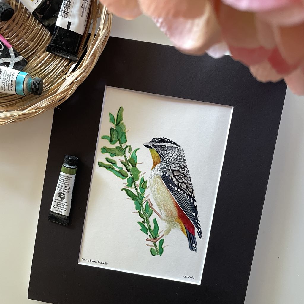 Spotted Paradolte - Bird Art by KB - Giclee Print with Black Mat