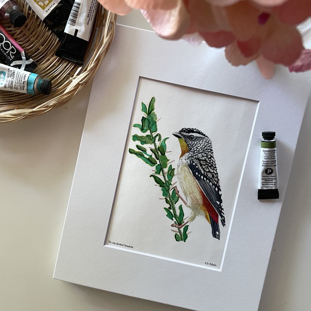 Spotted Paradolte - Bird Art by KB - Giclee Print with White Mat