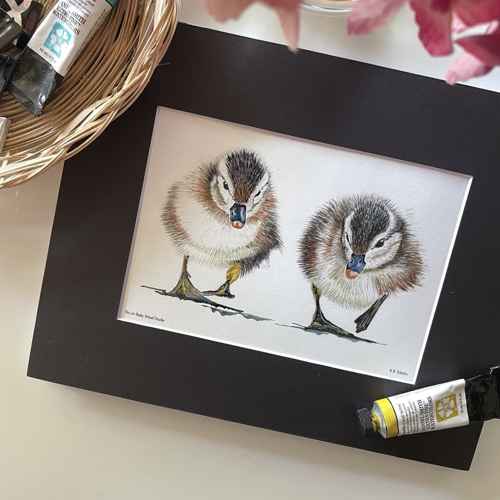 Baby Wood Ducks - Bird Art by KB - Giclee Print with Black Mat