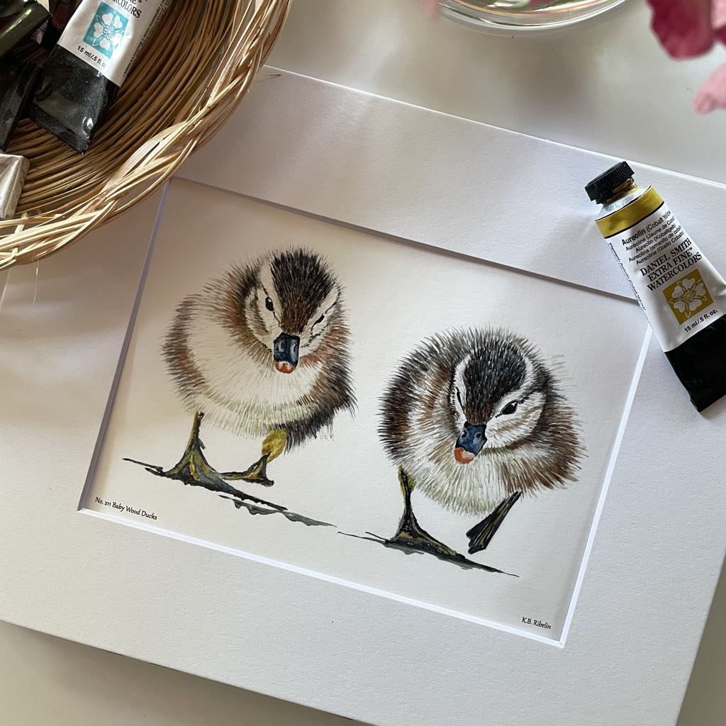 Baby Wood Ducks - Bird Art by KB - Giclee Print with White Mat